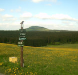 Blick zum Bärensteiner Berg (898m)